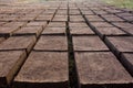 Drying adobe bricks Royalty Free Stock Photo