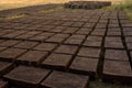Drying adobe bricks Royalty Free Stock Photo