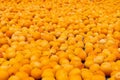 Drying apricots background photo. Dried fruit production concept