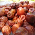 Drying Bidara fruit in the sun. Jujube or date tree Royalty Free Stock Photo