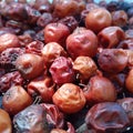 Drying Bidara fruit in the sun. Jujube or date tree Royalty Free Stock Photo