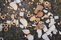 Drying bread and biscuits on the ground as a bird food top view Royalty Free Stock Photo