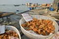 Drying clamshell under sunlight