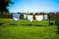 Drying clothes in washing line Royalty Free Stock Photo