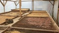 Drying of cocoa and coffee beans, Sao Tome