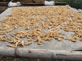 Drying coconut on the rooftop D4 HCMC, Vietnam Royalty Free Stock Photo