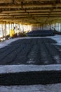 Drying coffee beans. Coffee beans drying in the shadow. Coffee beans business.