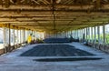 Drying coffee beans. Coffee beans drying in the shadow. Coffee beans business.