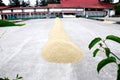 Drying coffee beans on the sun