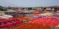 Drying colorful sarees on the river bank in Agra, India
