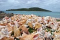 Drying conch shells