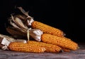 Drying corn cobs Royalty Free Stock Photo