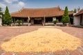 Drying corn in front of old house in Ninh Binh Royalty Free Stock Photo
