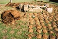 Drying cow dung cakes at Khajuraho