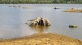 Drying dam