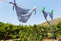 Drying female swimsuit outdoor