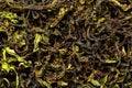 Drying and fermentation of tea willow Royalty Free Stock Photo