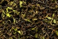 Drying and fermentation of tea willow Royalty Free Stock Photo