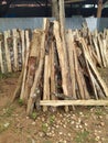 drying firewood in the yard Royalty Free Stock Photo