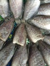 Drying fish for food preservative