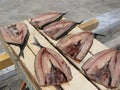 Drying fish in the Greek sun