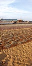 Drying fish on the beach, Sri Lanka