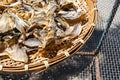 drying fish is process to preserving food.