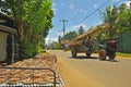 Drying fish on the road - Dikwella (Sri Lanka)