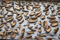 Drying handpicked mushrooms, typical Czech autumn hobby