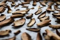 Drying handpicked mushrooms, typical Czech autumn hobby