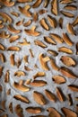 Drying handpicked mushrooms, typical Czech autumn hobby