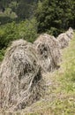 Drying hay at haystacks in Pustertal, Austria Royalty Free Stock Photo