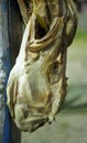 Drying head of a fish