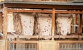 Drying Leather in Chouara Tannery, Fez, Morocco Royalty Free Stock Photo