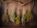 Drying medical herbs for use in alternative medicine Royalty Free Stock Photo