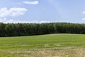 drying of mown grass for feeding animals on the farm Royalty Free Stock Photo