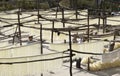 Drying Noodles in China