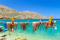 Drying octopus arms in a fishing port on Crete Royalty Free Stock Photo