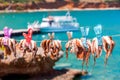 Drying the octopus in the sun in the seaside village of Plaka on Royalty Free Stock Photo