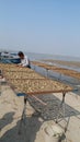 Drying oysters, Seafood, Sai Kung, Hong Kong