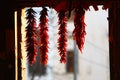 Drying peppers