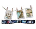 Drying Traveling Photos with a Film: Animals and nature