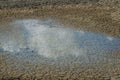 Drying pond close-up