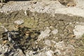 Drying pond of a riverbed