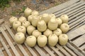 Drying pottery at the Thanh Ha village in Hoi An, Vietnam Royalty Free Stock Photo