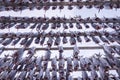 Drying racks for fish heads , high quality photo Royalty Free Stock Photo