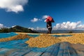 Drying raw coffee bean on the floor local family industry in thailand