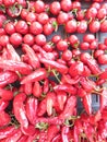 Drying red peppers