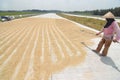 Drying rice