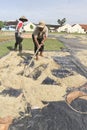 Drying rice